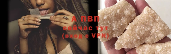 спайс Ладушкин