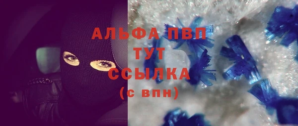 спайс Ладушкин