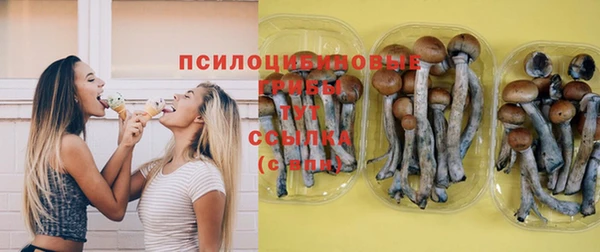 метадон Лабытнанги