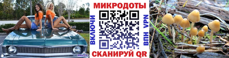Псилоцибиновые грибы прущие грибы  Углич 