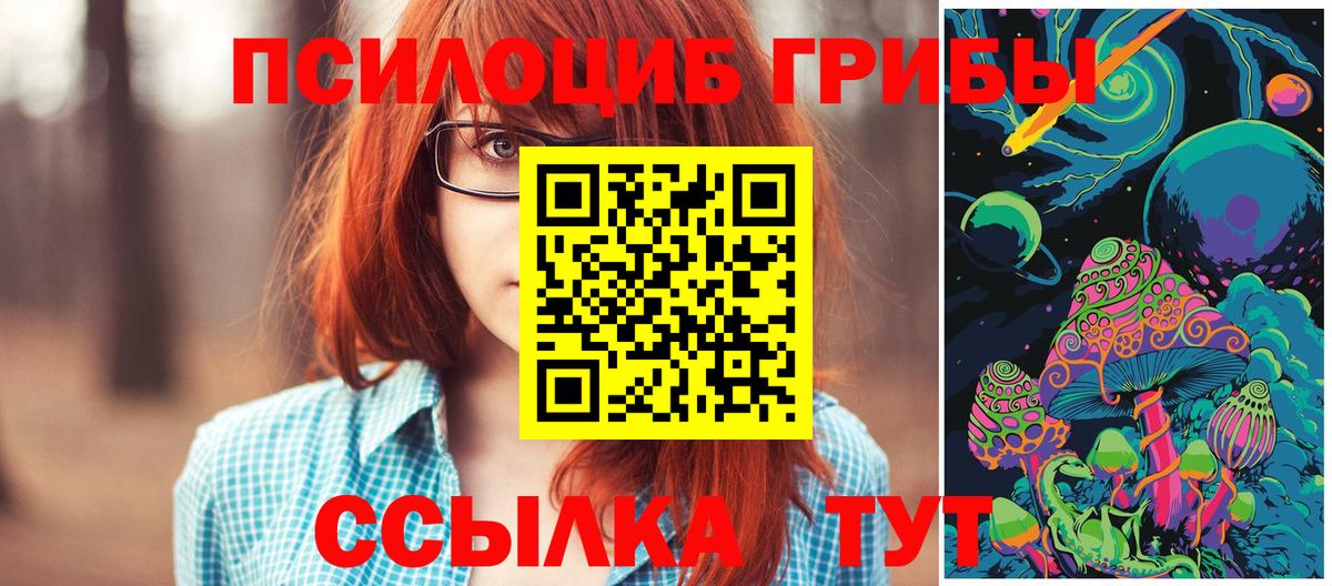 Псилоцибиновые грибы Psilocybine cubensis  Вход с VPN  Углич 